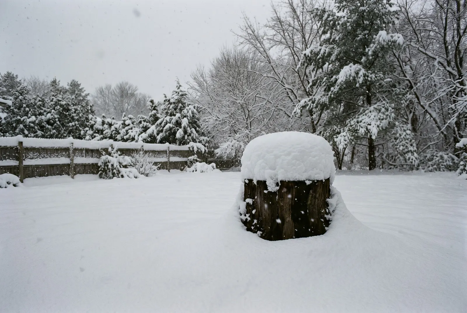 Stump buried under deep lake-effect snow in a fenced backyard
